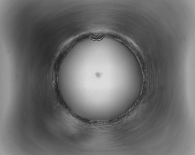 X0000114441016200910161048