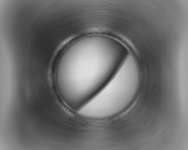 X0000114441018200910161048