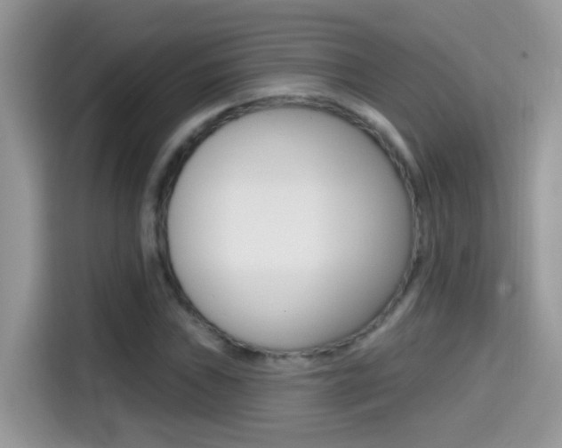 X0000114441019200910161048