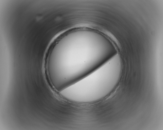 X0000114441020200910161048