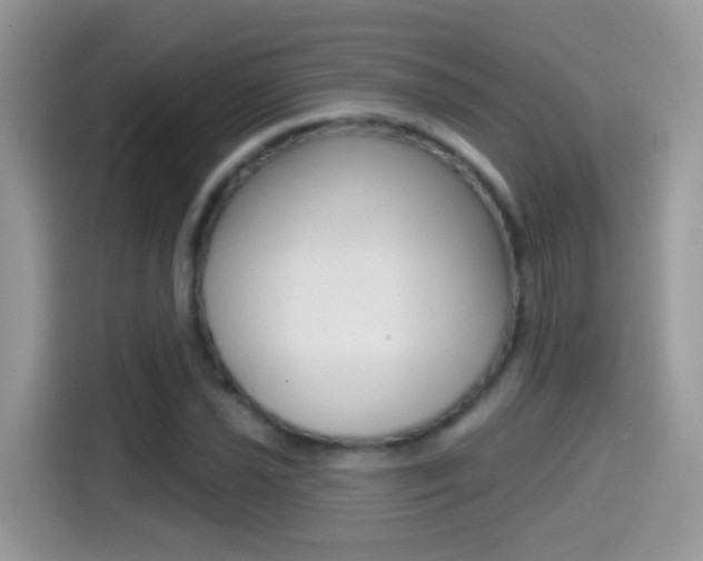 X0000114441021200910161048