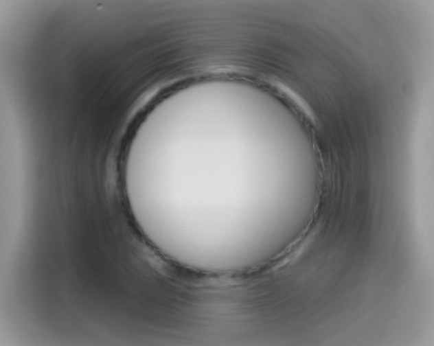 X0000114441023200910161048