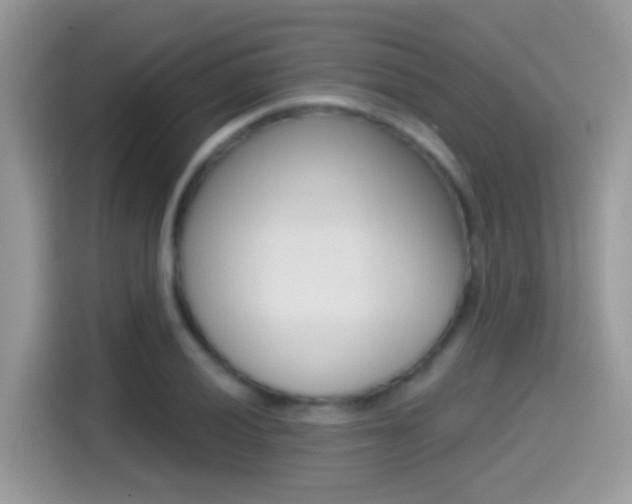 X0000114441028200910161048
