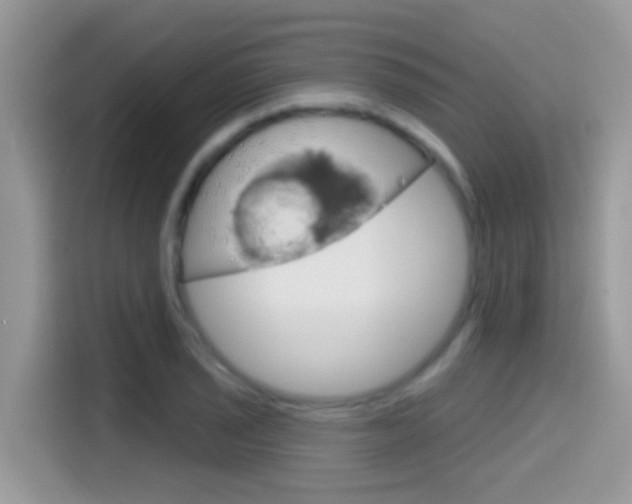 X0000114441029200910161048