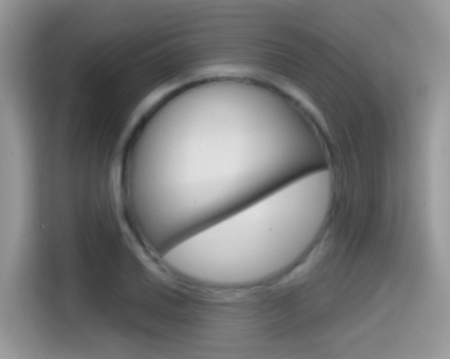X0000114441030200910161048