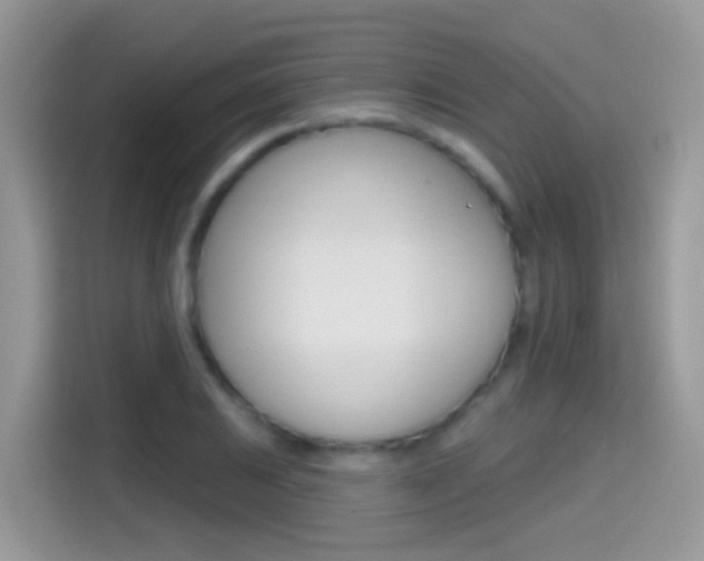 X0000114441031200910161048