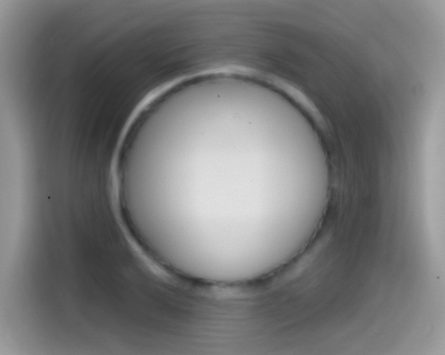 X0000114441032200910161048