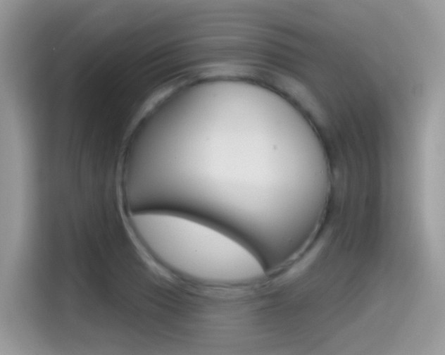 X0000114441033200910161048