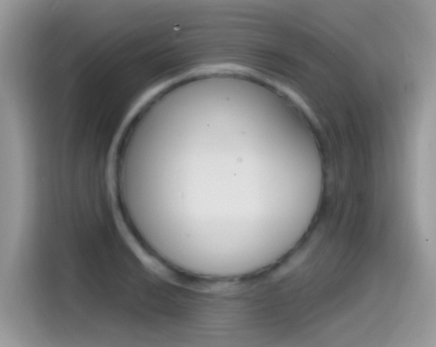 X0000114441038200910161048