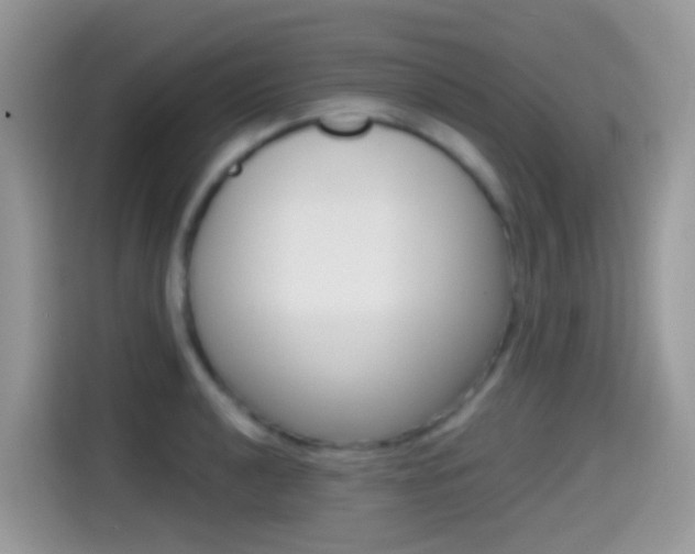 X0000114441040200910161048