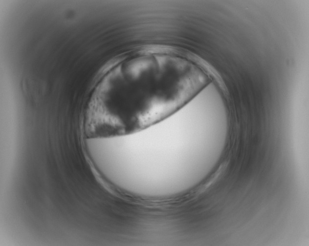X0000114441041200910161048