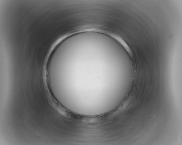 X0000114441051200910161048