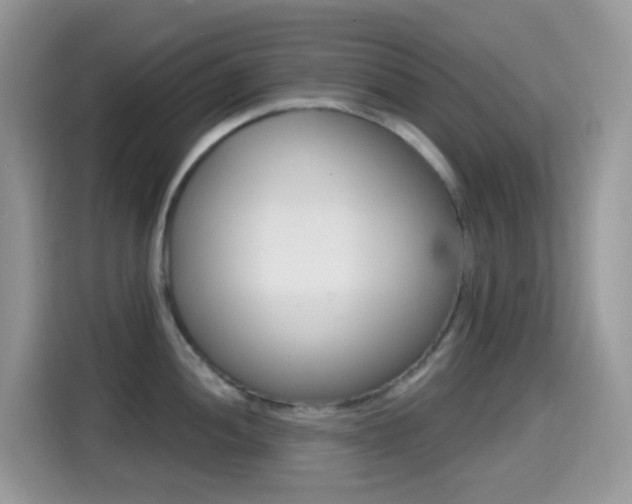 X0000114441052200910161048