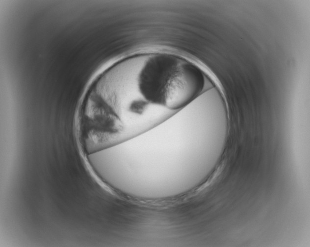 X0000114441053200910161048