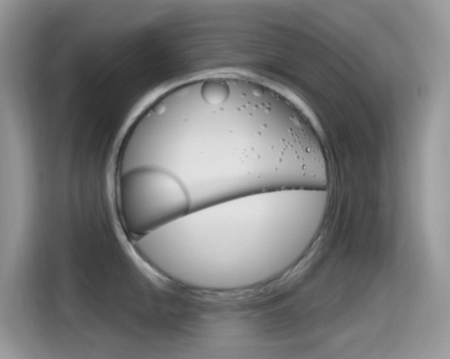 X0000114441054200910161048
