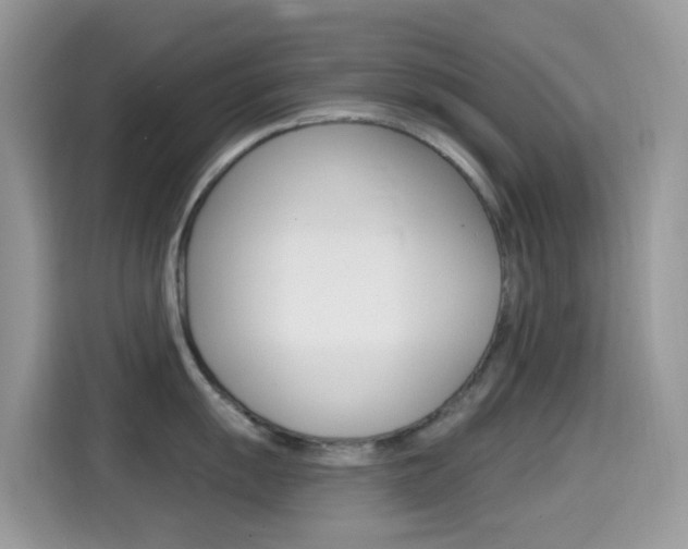 X0000114441055200910161048
