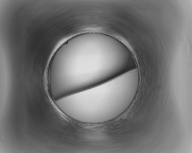 X0000114441056200910161048