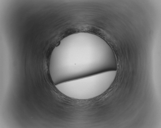 X0000114441058200910161047