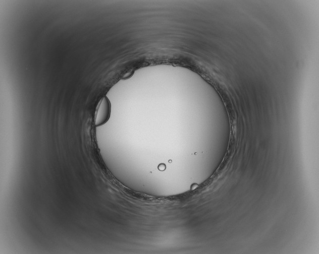 X0000114441059200910161047