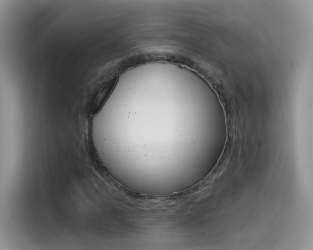 X0000114441061200910161047