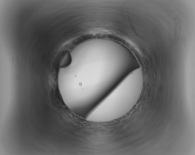 X0000114441063200910161047
