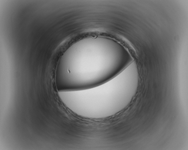 X0000114441064200910161047