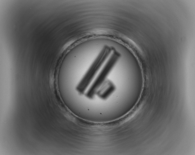 X0000114441065200910161047