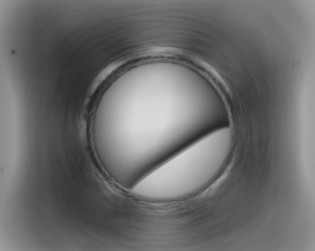 X0000114441066200910161047