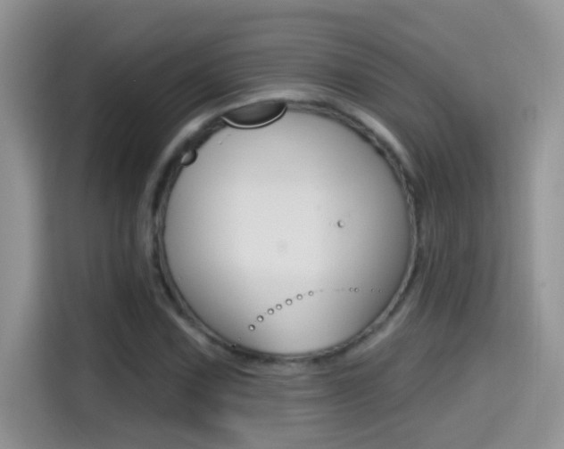 X0000114441067200910161047