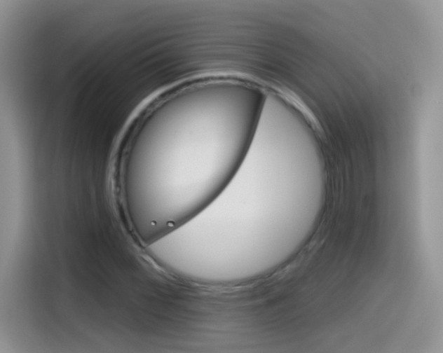 X0000114441068200910161047
