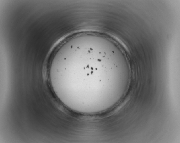 X0000114441069200910161047