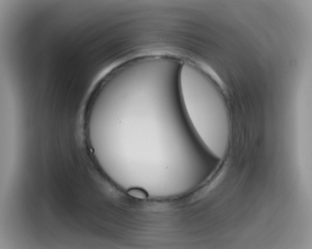 X0000114441071200910161047