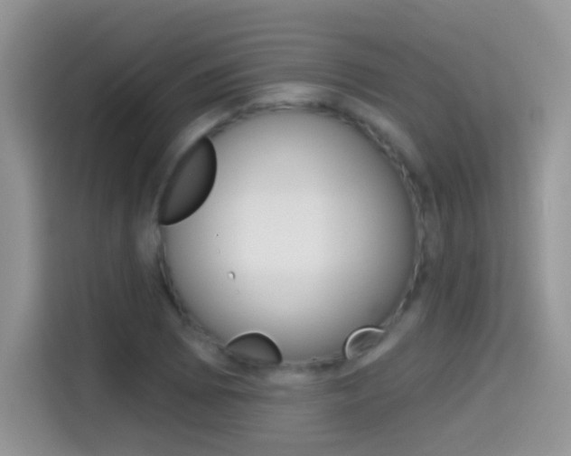 X0000114441073200910161047