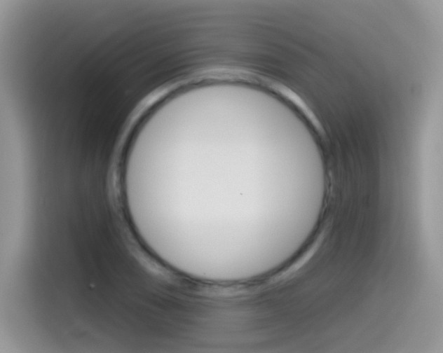 X0000114441074200910161047