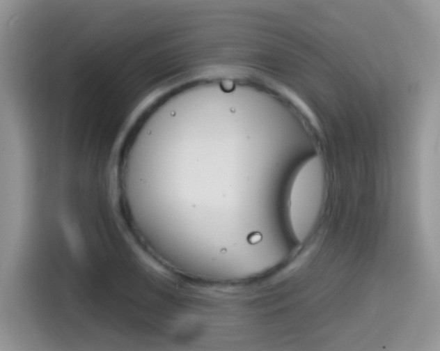 X0000114441075200910161047