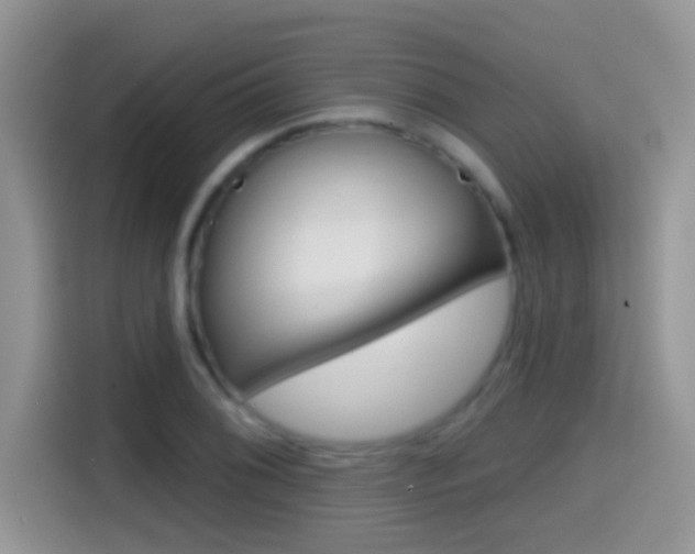 X0000114441076200910161047