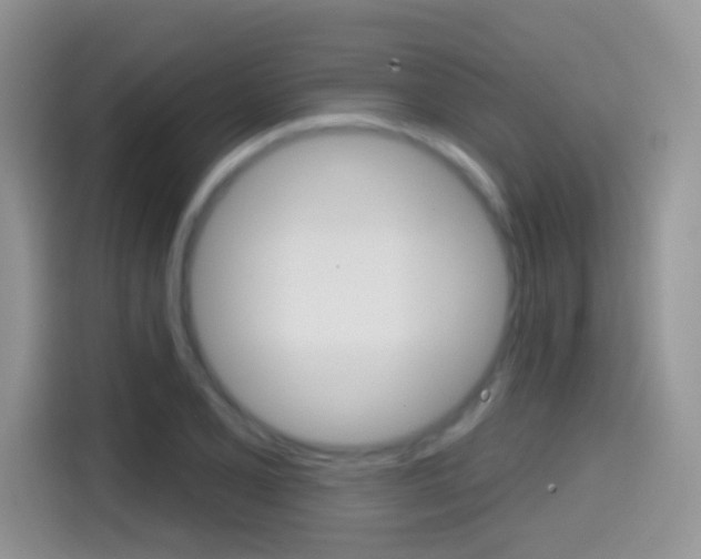 X0000114441077200910161047