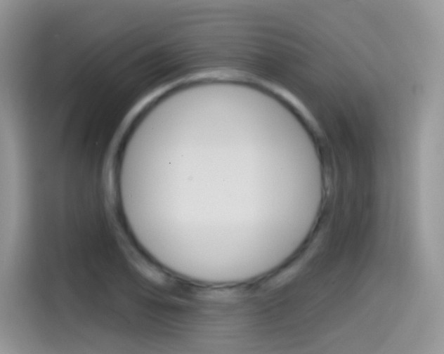 X0000114441078200910161047