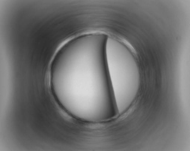 X0000114441079200910161047