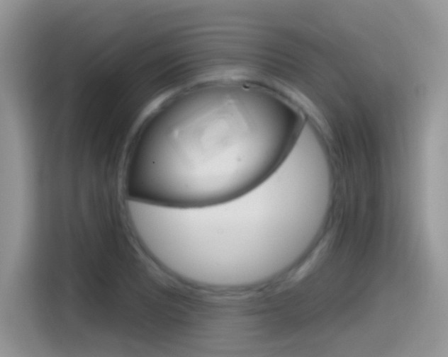 X0000114441081200910161047