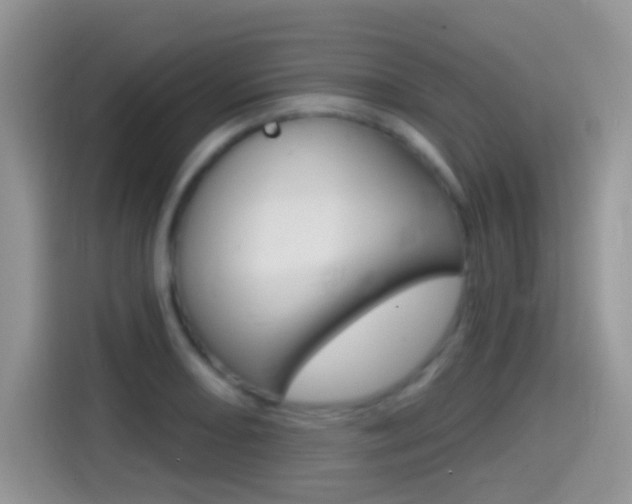 X0000114441082200910161047
