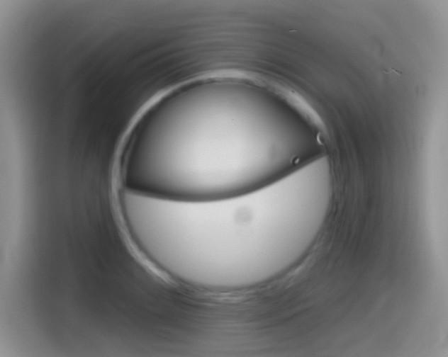 X0000114441084200910161047