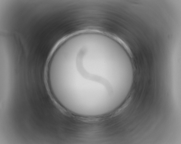 X0000114441085200910161047