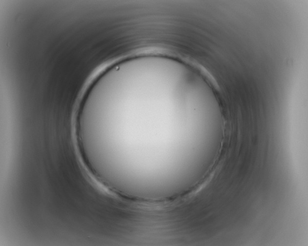 X0000114441086200910161047