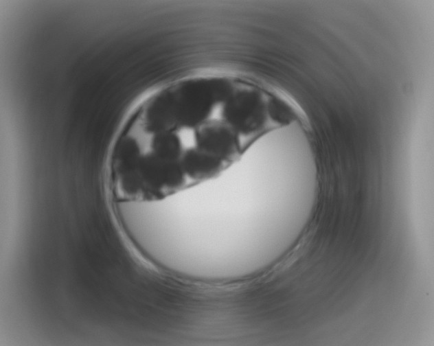 X0000114441087200910161047