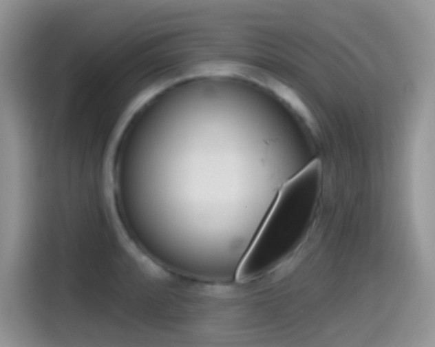 X0000114441088200910161047