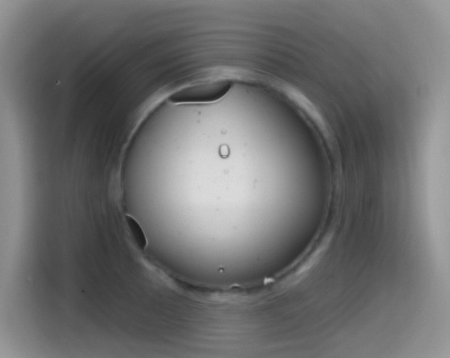 X0000114441089200910161047