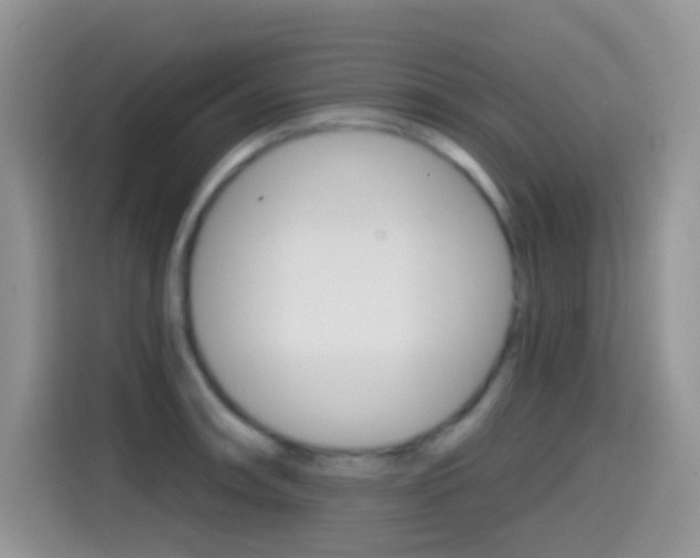X0000114441090200910161047