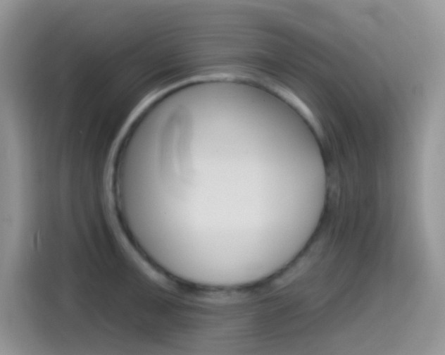 X0000114441091200910161047