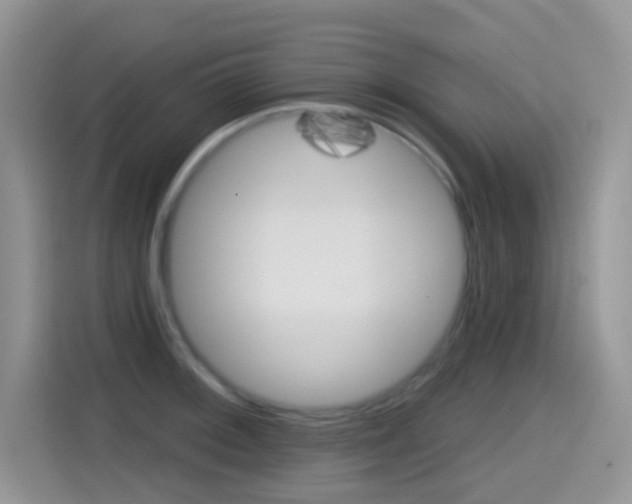 X0000114441092200910161047